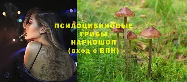 спиды Алексеевка