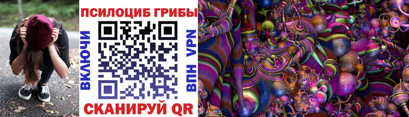кракен зеркало  Сургут  Псилоцибиновые грибы Psilocybine cubensis  купить наркоту 