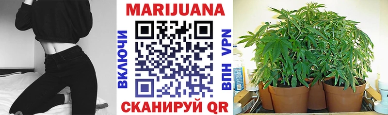 Шишки марихуана SATIVA & INDICA  KRAKEN tor  Сургут 